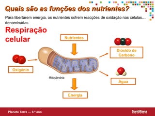 Quais são as funções dos nutrientes?
Para libertarem energia, os nutrientes sofrem reacções de oxidação nas células…
denominadas

Respiração
celular

Nutrientes
Dióxido de
Carbono

Oxigénio
Mitocôndria

Água
Energia

Planeta Terra — 9.º ano

 