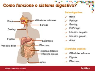 Como funciona o sistema digestivo?
Tubo digestivo:

Boca

Glândulas salivares
Faringe

Vesícula biliar

Estômago

Faringe



Esófago

 Intestino grosso
 Ânus

Pâncreas
Intestino delgado
Intestino grosso
Ânus

Planeta Terra — 9.º ano



 Estômago
 Intestino delgado

Esófago

Fígado

Boca

Glândulas anexas:
 Glândulas salivares
 Fígado
 Pâncreas

 