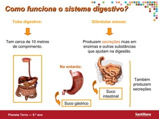 Como funciona o sistema digestivo?
Tubo digestivo:

Glândulas anexas:

Tem cerca de 10 metros
de comprimento.

Produzem secreções ricas em
enzimas e outras substâncias
que ajudam na digestão.

No entanto:

Suco
intestinal
Suco gástrico
Planeta Terra — 9.º ano

Também
produzem
secreções

 