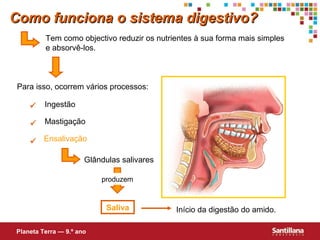 Como funciona o sistema digestivo?
Tem como objectivo reduzir os nutrientes à sua forma mais simples
e absorvê-los.

Para isso, ocorrem vários processos:


Ingestão



Mastigação

 Ensalivação
Glândulas salivares
produzem

Saliva
Planeta Terra — 9.º ano

Início da digestão do amido.

 