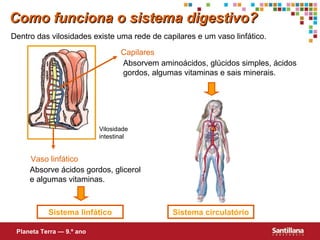 Como funciona o sistema digestivo?
Dentro das vilosidades existe uma rede de capilares e um vaso linfático.
Capilares
Absorvem aminoácidos, glúcidos simples, ácidos
gordos, algumas vitaminas e sais minerais.

Vilosidade
intestinal

Vaso linfático
Absorve ácidos gordos, glicerol
e algumas vitaminas.

Sistema linfático
Planeta Terra — 9.º ano

Sistema circulatório

 