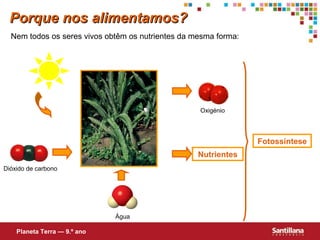 Porque nos alimentamos?
Nem todos os seres vivos obtêm os nutrientes da mesma forma:

Oxigénio

Fotossíntese
Nutrientes
Dióxido de carbono

Água
Planeta Terra — 9.º ano

 