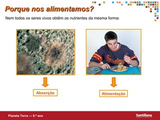 Porque nos alimentamos?
Nem todos os seres vivos obtêm os nutrientes da mesma forma:

Absorção

Planeta Terra — 9.º ano

Alimentação

 