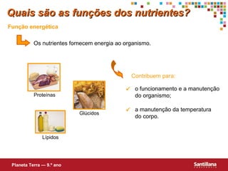 Quais são as funções dos nutrientes?
Função energética
Os nutrientes fornecem energia ao organismo.

Contribuem para:
 o funcionamento e a manutenção
do organismo;

Proteínas
Glúcidos

Lípidos

Planeta Terra — 9.º ano

 a manutenção da temperatura
do corpo.

 