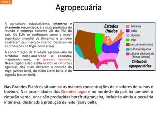 Agropecuária
A agricultura estadunidense, intensiva e
altamente mecanizada, é a mais produtiva do
mundo e emprega somente 2% da PEA do
país. Os EUA se configuram como o maior
exportador mundial de alimentos e também
abastecem seu mercado interno. Destacam-se
as produções de trigo, milho e soja.
A concentração da atividade agropecuária no
território norte-americano se encontra,
majoritariamente, nas Grandes Planícies.
Nessa região estão estabelecidos os cinturões
agrícolas, dos quais destacam o cinturão do
trigo (wheat belt), do milho (corn belt), e do
algodão (cotton belt).
Nas Grandes Planícies situam-se as maiores concentrações de criadores de suínos e
bovinos. Nas proximidades dos Grandes Lagos e no nordeste do país há também o
cinturão verde, onde são produzidas hortifrutigranjeira, incluindo ainda a pecuária
intensiva, destinada à produção de leite (dairy belt).
Tema 1
 