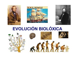 EVOLUCIÓN BIOLÓXICA
 
