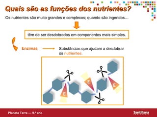 Os nutrientes são muito grandes e complexos; quando são ingeridos… têm de ser desdobrados em componentes mais simples. Enzimas Substâncias que ajudam a desdobrar  os  nutrientes. Quais são as funções dos nutrientes? Planeta Terra — 9.º ano 