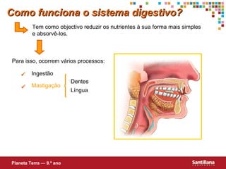 Tem como objectivo reduzir os nutrientes à sua forma mais simples  e absorvê-los. Para isso, ocorrem vários processos:  Ingestão Dentes  Língua Como funciona o sistema digestivo? Planeta Terra — 9.º ano  Mastigação 