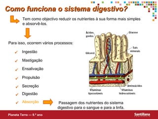 Tem como objectivo reduzir os nutrientes à sua forma mais simples e absorvê-los. Para isso, ocorrem vários processos:      Ingestão Mastigação Ensalivação Propulsão Secreção  Digestão Passagem dos nutrientes do sistema digestivo para o sangue e para a linfa. Como funciona o sistema digestivo? Planeta Terra — 9.º ano  Absorção 