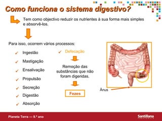 Tem como objectivo reduzir os nutrientes à sua forma mais simples e absorvê-los. Para isso, ocorrem vários processos:      Ingestão Mastigação Ensalivação Propulsão Secreção  Digestão  Absorção Ânus Remoção das substâncias que não foram digeridas. Fezes Como funciona o sistema digestivo? Planeta Terra — 9.º ano  Defecação 