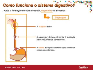 Após a formação do bolo alimentar,  engolimos  os alimentos. Deglutição A  epiglote  fecha. A  cárdia  abre para deixar o bolo alimentar entrar no estômago. Como funciona o sistema digestivo? Planeta Terra — 9.º ano A passagem do bolo alimentar é facilitada pelos movimentos peristálticos. 
