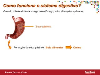 Quando o bolo alimentar chega ao estômago, sofre alterações químicas: Suco   gástrico Por acção do suco gástrico: Bolo   alimentar Quimo Como funciona o sistema digestivo? Planeta Terra — 9.º ano 