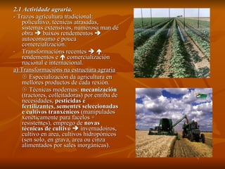 2.1 Actividade agraria. - Trazos agricultura tradicional: policultivo, técnicas atrasadas, sistemas extensivos, numerosa man de obra    baixos rendementos    autoconsumo e pouca comercialización. Transformacións recentes       rendementos e    comercialización nacional e internacional. a) Transformacións na estructura agraria    Especialización da agricultura en mellores productos de cada rexión.    Técnicas modernas:  mecanización  (tractores, colleitadoras) por enriba de necesidades,  pesticidas e fertilizantes ,  sementes seleccionadas e cultivos tranxénicos  (manipulados xeneticamente para facelos + resistentes), emprego de  novas técnicas de cultivo     invernadoiros, cultivo en area, cultivos hidropónicos (sen solo, en grava, area ou cinza alimentados por sales inorgánicas). 
