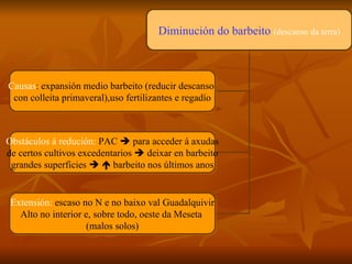 Diminución do barbeito   (descanso da terra) Causas : expansión medio barbeito (reducir descanso  con colleita primaveral),uso fertilizantes e regadío Obstáculos á redución:  PAC    para acceder á axudas de certos cultivos excedentarios    deixar en barbeito grandes superficies       barbeito nos últimos anos Extensión:  escaso no N e no baixo val Guadalquivir Alto no interior e, sobre todo, oeste da Meseta  (malos solos) 