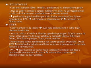   LEGUMINOSAS: - Consumo humano (fabas, lentellas, garabanzos) ou alimentación gando. - Área de cultivo: similar a cereais, rotando con estes, xa que leguminosas = cultivo de descanso ou semibarbeito (nitroxenan a terra). -    producción (agás lentellas) por dificultades mecanización e baixos rendementos. PAC    subvencións a leguminosas       extensión nos últimos anos.    VIDES:  - Cultivo arbustivo de secaño    uvas para alimentación e, sobre todo, elaboración de viño. - Área de cultivo: Castela A Mancha =produtor principal. Existen outras de menor extensión pero de maior calidade e demanda (Rioxa, Ribera do Douro, Rías Baixas galegas, Xerez, cavas cataláns…). - Normalmente baixos rendementos por ocupar grandes extensións. Desde 1990    considerable debido a melloras técnicas e á promoción no mercado nacional e internacional. - PAC    reconversión do sector hacia variedades de maior calidade e mercado (Denominacións de orixe)    subvencións e primas para abandonar áreas de peor calidade. 