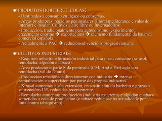    PRODUTOS HORTIFRUTÍCOLAS : - Destinados a consumo en fresco ou conservas. - Áreas produtoras: regadíos peninsulares (litoral mediteráneo e vales do interior) e insular. Cultivos á aire libre ou invernadoiros. - Producción, tradicionalmente para autoconsumo, experimentou crecemento enorme    exportacións    elemento fundamental da balanza comercial española. - Actualmente a PAC    reduciónsubvencións progresivamente.    CULTIVOS INDUSTRIAIS: - Requiren unha transformación industrial para o seu consumo (xirasol, remolacha, algodón e tabaco). - Área productora: parte S da península (CM, And e Ext) agás coa remolacha (val do Douro). - Producción relacionada directamente coa industria    intensa capitalización e supervisión por parte das propias industrias. - Xirasol aumentou a súa extensión, en sustitución do barbeito e grazas a subvencións UE, reducidas recentemente. - Remolacha aumentou producción (industria azucreira) e algodón e tabaco sometidos a cota de producción (o tabaco reduciuse na actualidade por loita contra tabaquismo).  