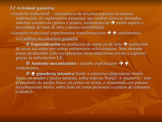 2.2 Actividade gandeira. -  Gandería tradicional = coexistencia de diversas especies na mesma explotación, en explotacións pequenas, que usaban técnicas atrasadas, sistemas extensivos (pastos e prados, trashumancia)    moito espazo e necesidade de man de obra e pouca rendibilidade. - Gandería tradicional experimentou transformacións       rendementos. a)  Cambios na estructura gandeira :     Especialización  na produción de carne ou de leite    sustitución de razas nacionais por outras estranxeiras seleccionadas. Non obstante estase producindo certa recuperación razas autóctonas (ovino e caprino) grazas ás subvencións UE.    Aumento mecanización  e tamaño explotacións       rendementos.       ganadería intensiva  fronte á extensiva (dependente medio físico, en prados e pastos naturais, sobre todo no Norte). A intensiva = non dependente do medio físico, en cortes ou mixta, é alimentada con pensos, incrementouse moito, sobre todo en zonas próximas a centros de consumo (cidades). 