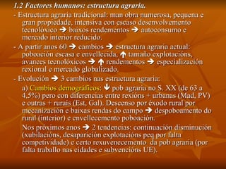 1.2 Factores humanos: estructura agraria. - Estructura agraria tradicional: man obra numerosa, pequena e gran propiedade, intensiva con escaso desenvolvemento tecnolóxico    baixos rendementos    autoconsumo e mercado interior reducido. - A partir anos 60    cambios    estructura agraria actual: poboación escasa e envellecida,    tamaño explotacións, avances tecnolóxicos       rendementos    especialización rexional e mercado globalizado. - Evolución    3 cambios nas estructura agraria: a)  Cambios demográficos :    pob agraria no S. XX (de 63 a 4,5%) pero con diferencias entre rexións + urbanas (Mad, PV) e outras + rurais (Est, Gal). Descenso por éxodo rural por mecanización e baixas rendas do campo    despoboamento do rural (interior) e envellecemento poboación. Nos próximos anos    2 tendencias: continuación disminución (xubilacións, desaparición explotacións peq por falta competividade) e certo rexuvenecemento  da pob agraria (por falta traballo nas cidades e subvencións UE). 