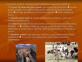 - A pesar de cambios, subsisten tamén problemas na gandería española:    Escasez de alimentos para gando : por escasas precipitacións    escasos pastos, excepto na España húmida ou nas áreas de montaña da metade norte    elevada dependencia de forraxes e pensos    fortes subidas de prezo.    Tamaño inadecuado  de moitas explotacións gandeiras, a pesar de crecente concentración.    Competencia na UE  por parte doutros países excedentarios (Dinamarca, Holanda…)    establecemento de cotas de produción para leite e carne, ampliadas na última reforma da PAC, pero acompañadas con baixadas de prezos.    Sanidade animal : que aínda que mellorou, seguen presentando brotes epidémicos    restricción nas exportacións pola estricta normativa comunitaria. 