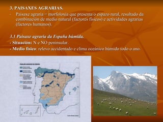 3. PAISAXES AGRARIAS. Paisaxe agraria = morfoloxía que presenta o espazo rural, resultado da combinación de medio natural (factores físicos) e actividades agrarias (factores humanos). 3.1 Paisaxe agraria da España húmida. -  Situación:   N e NO peninsular. -  Medio físico : relevo accidentado e clima oceánico húmido todo o   ano. 