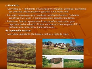 c) Gandería:   - Actividade ec + importante. Favorecida por condicións climáticas (oceánico) por demanda urbana productos gandería e por éxodo rural. - En Galiza predomina a peq e mediana explotación familiar. Na franxa cantábrica (Ast, Cant…) explotacións máis grandes e modernas. - Problemas: Moitas explotacións de peq tamaño e anticuadas, gran dependencia das industrias lácteas, competencia doutros países UE, o problema dos excedentes e imposición cotas. d) Explotación forestal: - Actividade importante. Destinada a mobles e pasta de papel. 