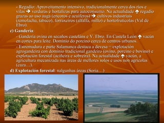 -  Regadío: Aproveitamento intensivo, tradicionalmente cerca dos ríos e vilas    verduras e hortalizas para autoconsumo. Na actualidade    regadío grazas ao uso auga (encoros e acuíferos)    cultivos industriais (remolacha, tabaco), forraxeiros (alfalfa, millo) e hortofrutícolas (Val de Ebro). c) Gandería :  - Gandería ovina en secaños casteláns e V. Ebro. En Castela León    vacún en cortes para leite. Dominio do porcino cerca de centros urbanos. - Estremadura e parte Salamanca destaca a devesa = explotación agrogandeira con dominio tradicional gandeiro (ovino, porcino e bovino) e explotación forestal (aciñeira e sobreira). Na actualidade    vacún, a agricultura mecanizada nas áreas de mellores solos e usos non agrícolas (caza…). d) Explotación forestal : nalgunhas áreas (Soria…) 