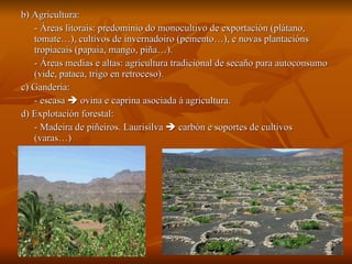 b) Agricultura:  - Áreas litorais: predominio do monocultivo de exportación (plátano, tomate…), cultivos de invernadoiro (pemento…), e novas plantacións tropiacais (papaia, mango, piña…). - Áreas medias e altas: agricultura tradicional de secaño para autoconsumo (vide, pataca, trigo en retroceso). c) Gandería:  - escasa    ovina e caprina asociada á agricultura. d) Explotación forestal:  - Madeira de piñeiros. Laurisilva    carbón e soportes de cultivos (varas…) 