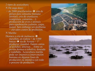 2 tipos de acuicultura:    De auga doce: + de 2000 piscifactorías    cría de peixes para consumo humano (troitas), cría de crustáceos (cangrexos, camaróns…), producción de ovos e animais para repoboación (salmón, carpa, troita). Sen embargo ten problema = elevados custos de produción.    Mariña:  Destaca a cría de moluscos    mexillón, en Galiza + de 3300 bateas    ría de Arousa = 1º productor mundial. Tamén ostras (Cataluña), ameixas… Entre os peixes destaca a robaliza, dourada e rodaballo. Acuicultura mariña pode ser extensiva (intervención humana en algunas fases da produción) ou intensiva (en todo o proceso de produción. 
