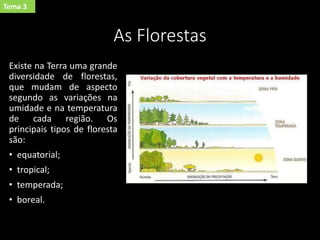 As Florestas
Existe na Terra uma grande
diversidade de florestas,
que mudam de aspecto
segundo as variações na
umidade e na temperatura
de cada região. Os
principais tipos de floresta
são:
• equatorial;
• tropical;
• temperada;
• boreal.
Tema 3
 