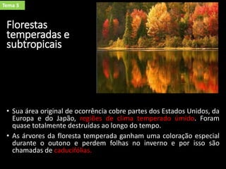 Florestas
temperadas e
subtropicais
• Sua área original de ocorrência cobre partes dos Estados Unidos, da
Europa e do Japão, regiões de clima temperado úmido. Foram
quase totalmente destruídas ao longo do tempo.
• As árvores da floresta temperada ganham uma coloração especial
durante o outono e perdem folhas no inverno e por isso são
chamadas de caducifólias.
Tema 3
 