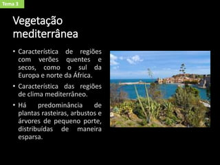 Vegetação
mediterrânea
• Característica de regiões
com verões quentes e
secos, como o sul da
Europa e norte da África.
• Característica das regiões
de clima mediterrâneo.
• Há predominância de
plantas rasteiras, arbustos e
árvores de pequeno porte,
distribuídas de maneira
esparsa.
Tema 3
 