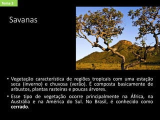 Savanas
• Vegetação característica de regiões tropicais com uma estação
seca (inverno) e chuvosa (verão). É composta basicamente de
arbustos, plantas rasteiras e poucas árvores.
• Esse tipo de vegetação ocorre principalmente na África, na
Austrália e na América do Sul. No Brasil, é conhecido como
cerrado.
Tema 3
 