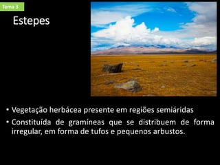 Estepes
• Vegetação herbácea presente em regiões semiáridas
• Constituída de gramíneas que se distribuem de forma
irregular, em forma de tufos e pequenos arbustos.
Tema 3
 