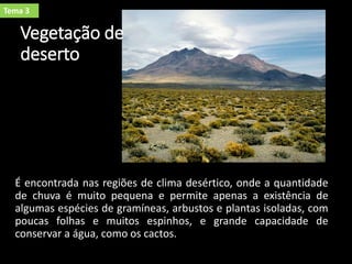 Vegetação de
deserto
É encontrada nas regiões de clima desértico, onde a quantidade
de chuva é muito pequena e permite apenas a existência de
algumas espécies de gramíneas, arbustos e plantas isoladas, com
poucas folhas e muitos espinhos, e grande capacidade de
conservar a água, como os cactos.
Tema 3
 