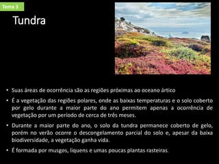 Tundra
• Suas áreas de ocorrência são as regiões próximas ao oceano ártico
• É a vegetação das regiões polares, onde as baixas temperaturas e o solo coberto
por gelo durante a maior parte do ano permitem apenas a ocorrência de
vegetação por um período de cerca de três meses.
• Durante a maior parte do ano, o solo da tundra permanece coberto de gelo,
porém no verão ocorre o descongelamento parcial do solo e, apesar da baixa
biodiversidade, a vegetação ganha vida.
• É formada por musgos, liquens e umas poucas plantas rasteiras.
Tema 3
 