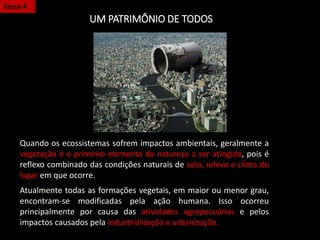UM PATRIMÔNIO DE TODOS
Quando os ecossistemas sofrem impactos ambientais, geralmente a
vegetação é o primeiro elemento da natureza a ser atingido, pois é
reflexo combinado das condições naturais de solo, relevo e clima do
lugar em que ocorre.
Atualmente todas as formações vegetais, em maior ou menor grau,
encontram-se modificadas pela ação humana. Isso ocorreu
principalmente por causa das atividades agropecuárias e pelos
impactos causados pela industrialização e urbanização.
Tema 4
 