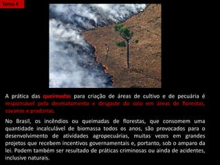 A prática das queimadas para criação de áreas de cultivo e de pecuária é
responsável pelo desmatamento e desgaste do solo em áreas de florestas,
savanas e pradarias.
No Brasil, os incêndios ou queimadas de florestas, que consomem uma
quantidade incalculável de biomassa todos os anos, são provocados para o
desenvolvimento de atividades agropecuárias, muitas vezes em grandes
projetos que recebem incentivos governamentais e, portanto, sob o amparo da
lei. Podem também ser resultado de práticas criminosas ou ainda de acidentes,
inclusive naturais.
Tema 4
 