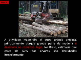 A atividade madeireira é outra grande ameaça,
principalmente porque grande parte da madeira é
destinada ao comércio ilegal. No Brasil, estima-se que
cerca de 60% das árvores são derrubadas
irregularmente.
Tema 4
 