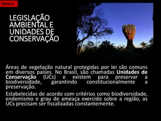 LEGISLAÇÃO
AMBIENTAL E
UNIDADES DE
CONSERVAÇÃO
Áreas de vegetação natural protegidas por lei são comuns
em diversos países. No Brasil, são chamadas Unidades de
Conservação (UCs) e existem para preservar a
biodiversidade, garantindo constitucionalmente a
preservação.
Estabelecidas de acordo com critérios como biodiversidade,
endemismo e grau de ameaça exercido sobre a região, as
UCs precisam ser fiscalizadas constantemente.
Tema 4
 