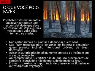 O QUE VOCÊ PODE
FAZER
Combater o desmatamento é
um dever de todos e uma
responsabilidade que deve
ser transmitida. Veja algumas
medidas que você pode
tomar para ajudar.
Tema 4
• Não cortar árvores ou plantas e denunciar quem o faz.
• Não fazer fogueiras perto de zonas de floresta e denunciar
quem provoca incêndio intencional próximo de áreas
florestadas.
• Avisar as autoridades imediatamente em caso de incêndio em
áreas de vegetação.
• Ao comprar móveis, certificar-se de que são provenientes de
comércio licenciado e não do mercado de madeira ilegal.
• Ensinar o próximo a importância de preservar as florestas e
outros tipos de vegetação.
 