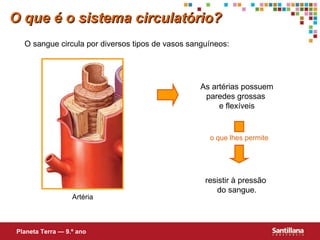 O sangue circula por diversos tipos de vasos sanguíneos: As artérias possuem paredes grossas  e flexíveis resistir à pressão  do sangue. O que é o sistema circulat ório ? Planeta Terra — 9.º ano o que lhes permite Artéria 