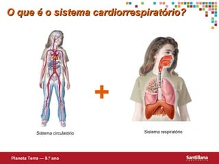 O que é o sistema cardiorrespiratório? + Planeta Terra — 9.º ano Sistema circulat ório Sistema respiratório 