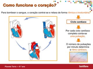 Ciclo cardíaco Por cada ciclo cardíaco completo conta-se  uma   pulsação . O número de pulsações por minuto determina  o  ritmo   cardíaco . Como funciona o coração? Para bombear o sangue, o coração contrai-se e relaxa de forma  rítmica e involuntária : Planeta Terra — 9.º ano 