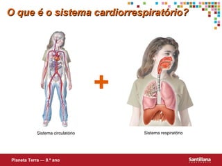 O que é o sistema cardiorrespirat ório ? Planeta Terra — 9.º ano + Sistema circulat ório Sistema respiratório 