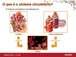 O que é o sistema circulat ório ? O sistema circulat ório  é constituído por: Sangue Planeta Terra — 9.º ano Coração Vasos sanguíneos bombeia onde circula 