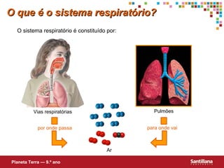 O que é o sistema respiratório? O sistema respiratório é constituído por: Ar Planeta Terra — 9.º ano por onde passa para onde vai Vias respiratórias Pulmões 