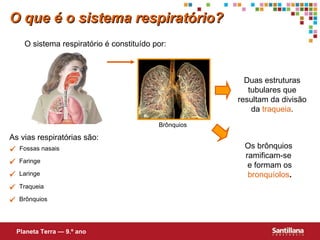  Fossas nasais  Faringe  Laringe  Traqueia As vias respiratórias são: O que é o sistema respiratório? O sistema respiratório é constituído por: Planeta Terra — 9.º ano  Brônquios Duas estruturas tubulares que resultam da divisão da  traqueia . Os brônquios  ramificam-se  e formam os  bronquíolos . Brônquios  
