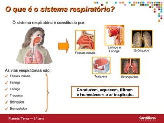  Fossas nasais  Faringe  Laringe  Traqueia  Brônquios  Bronquíolos As vias respiratórias são: Conduzem, aquecem, filtram  e humedecem o ar inspirado. O que é o sistema respiratório? O sistema respiratório é constituído por: Planeta Terra — 9.º ano Fossas nasais Laringe e Faringe Traqueia  Bronquíolos  Brônquios  