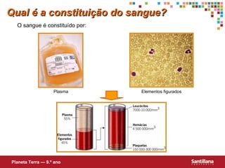 Qual é a constituição do sangue? O sangue é constituído por: Plasma Elementos figurados Planeta Terra — 9.º ano 