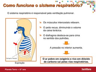 O ar pobre em oxigénio e rico em dióxido de carbono sai pelas vias respiratórias. A pressão no interior aumenta. Como funciona o sistema respiratório? O sistema respiratório é responsável pela ventilação pulmonar. Planeta Terra — 9.º ano Expiração   Os músculos intercostais relaxam.  O peito recua, diminuindo o volume  da caixa torácica.  O diafragma desloca-se para cima  no sentido dos pulmões. 